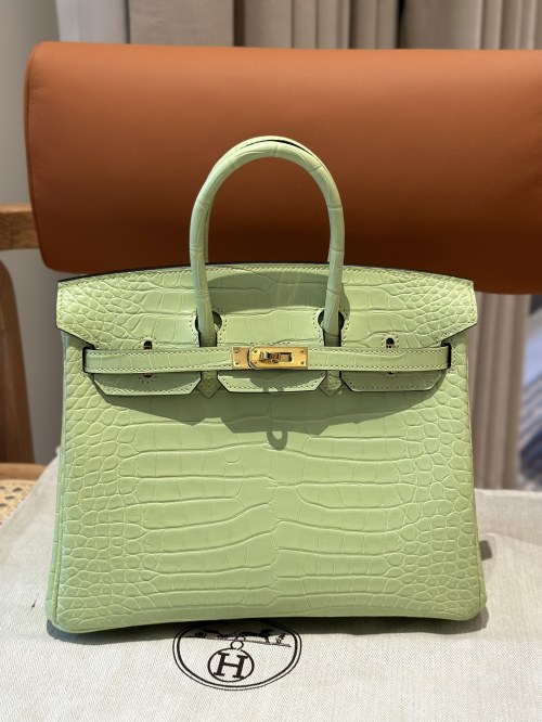 Exotic Birkin 25cm Alligator Leather Handbag with Gold Hardware 1 Exotic Birkin 25cm Alligator Leather Handbag with Gold Hardware