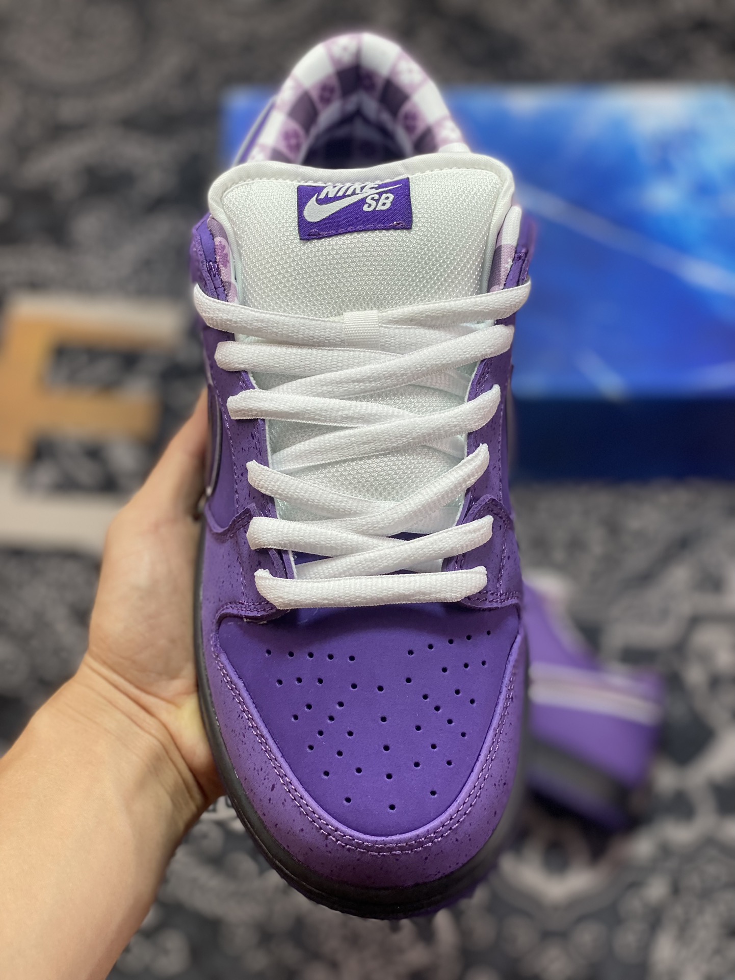 Concepts X Nike SB Dunk ''Purple Lobster ” Purple Lobster skate shoes BV1310-555