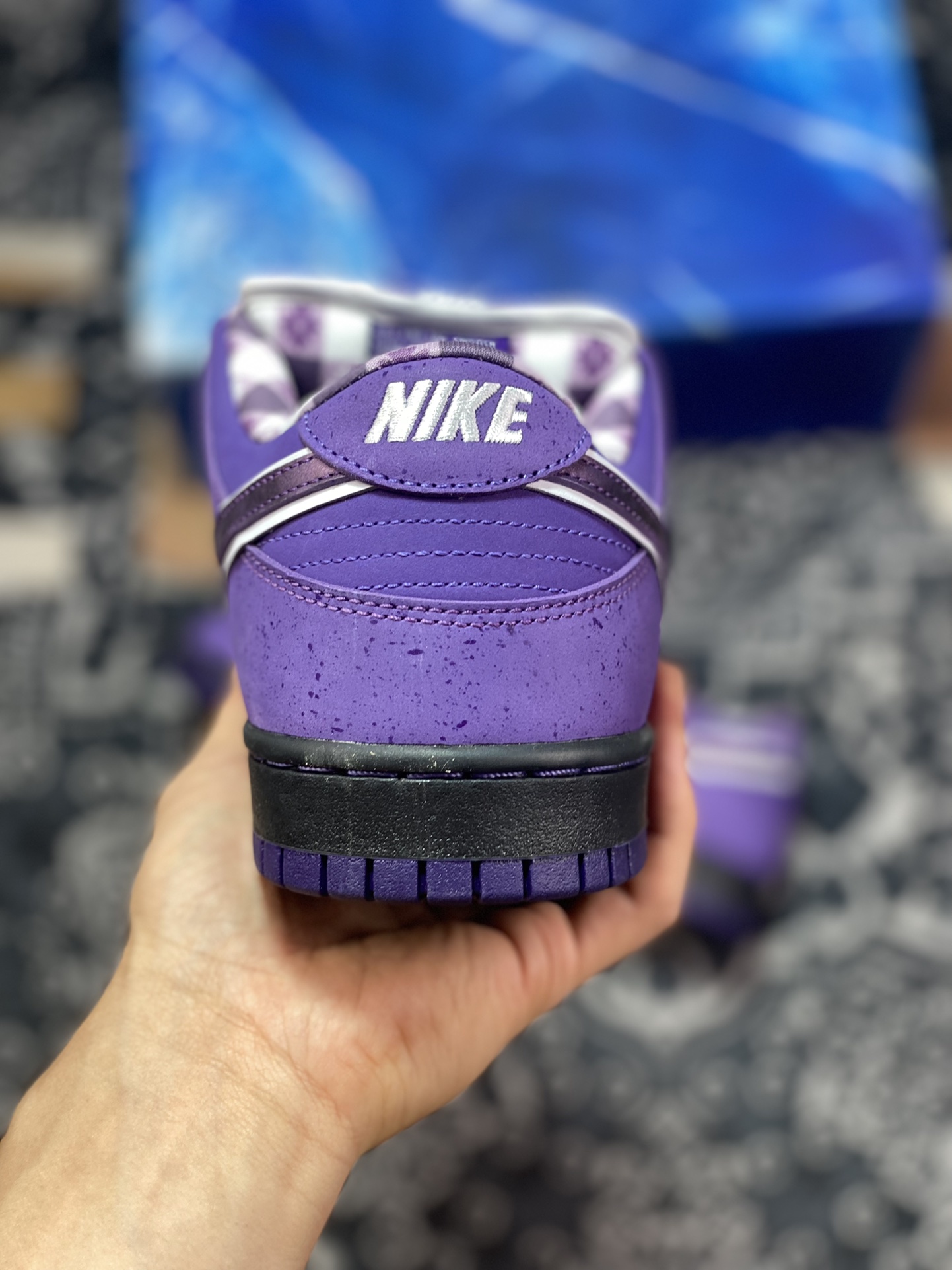 Concepts X Nike SB Dunk ''Purple Lobster ” Purple Lobster skate shoes BV1310-555