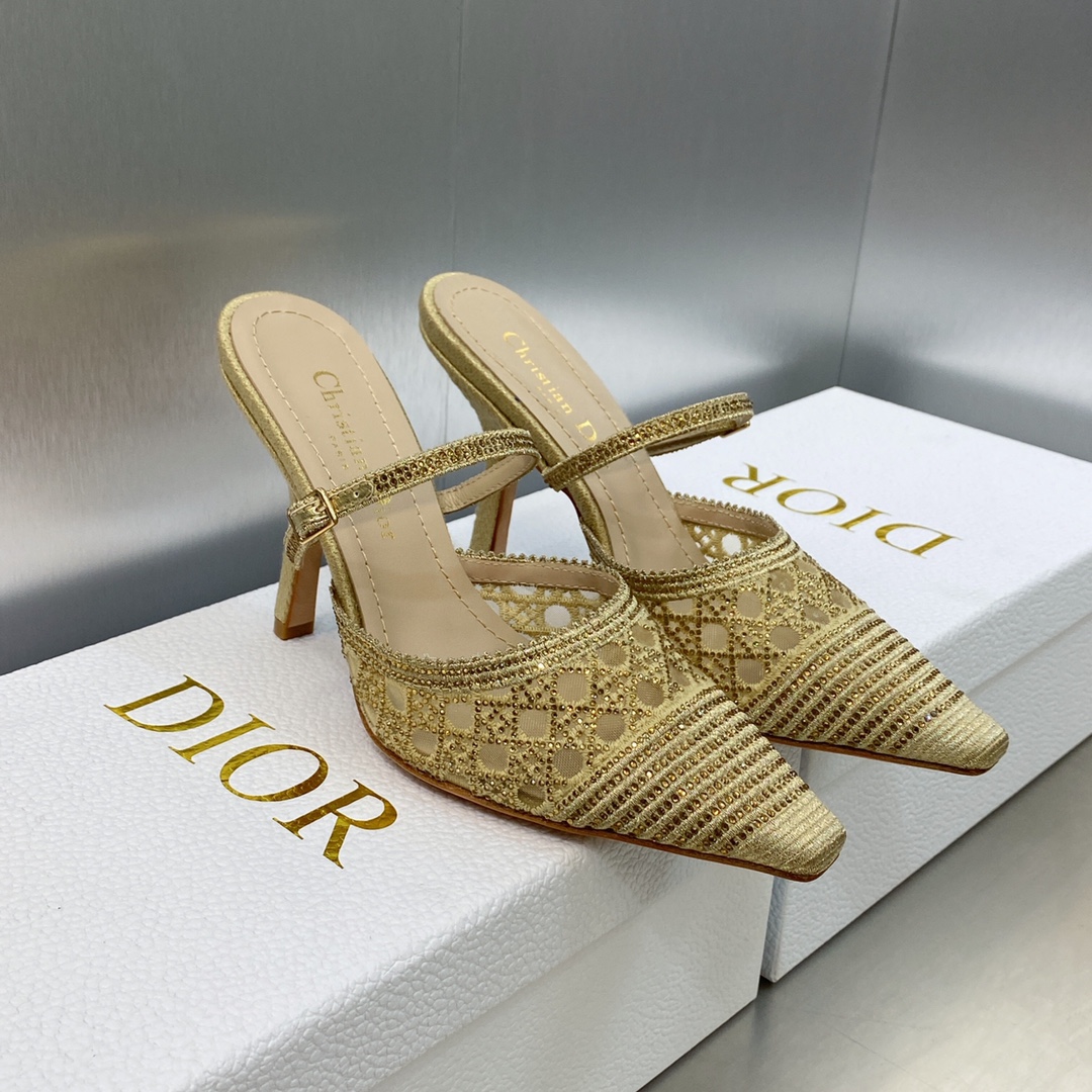 Dior Shoes High Heel Pumps Embroidery Gold Hardware Genuine Leather Sheepskin Spring/Summer Collection