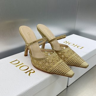 Dior Shoes High Heel Pumps Embroidery Gold Hardware Genuine Leather Sheepskin Spring/Summer Collection