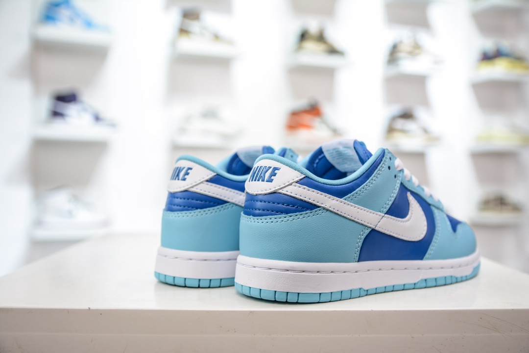 Nike Dunk Low (PLS) children's shoes blue and white low-top casual sports sneakers DV2635-400