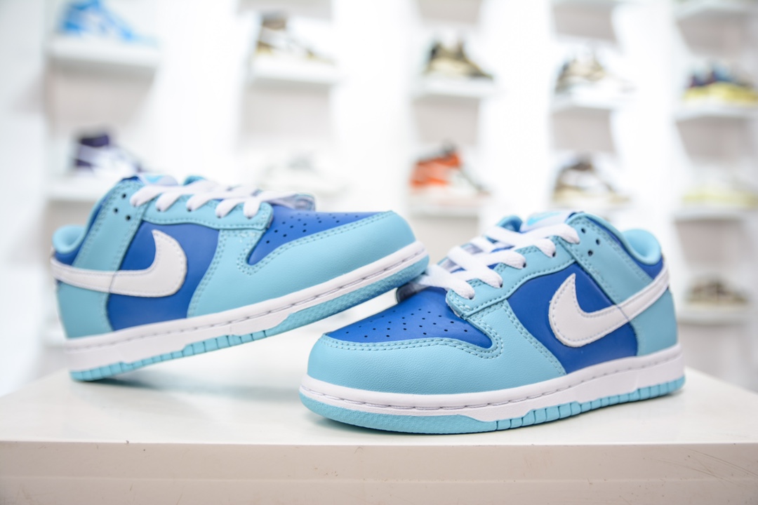 Nike Dunk Low (PLS) children's shoes blue and white low-top casual sports sneakers DV2635-400