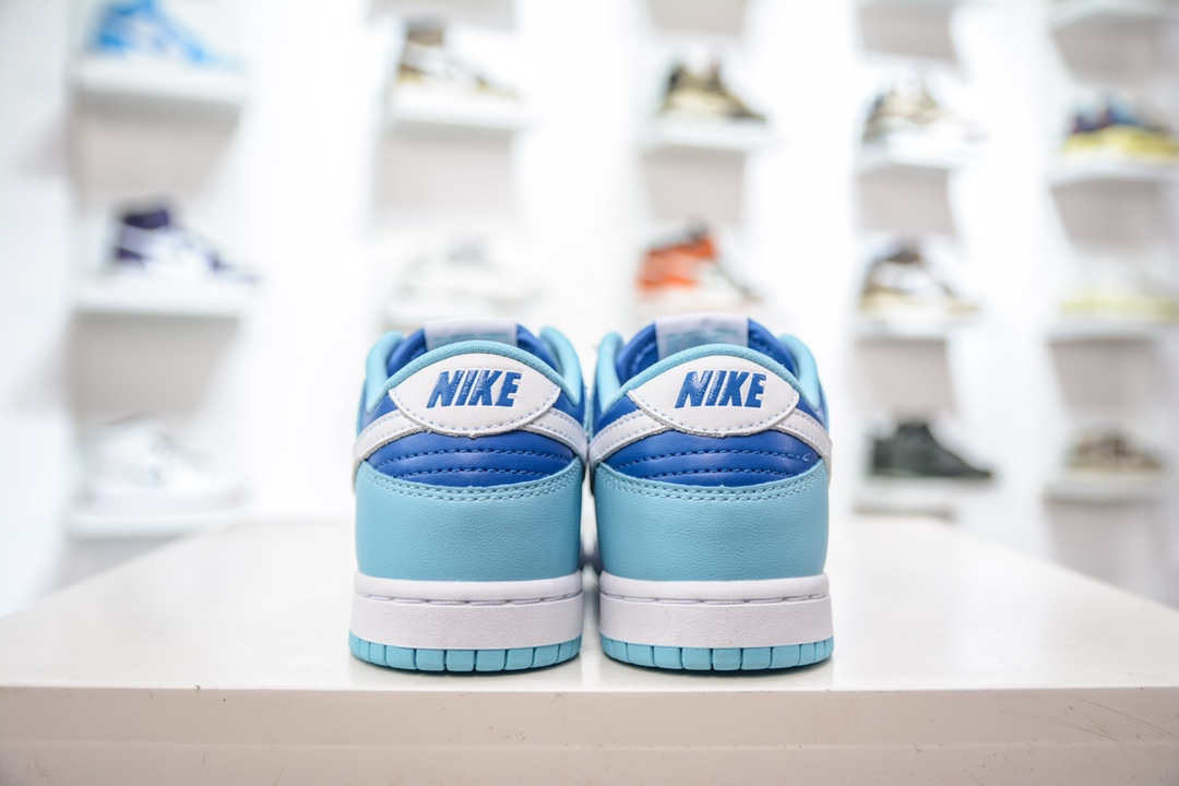 Nike Dunk Low (PLS) children's shoes blue and white low-top casual sports sneakers DV2635-400