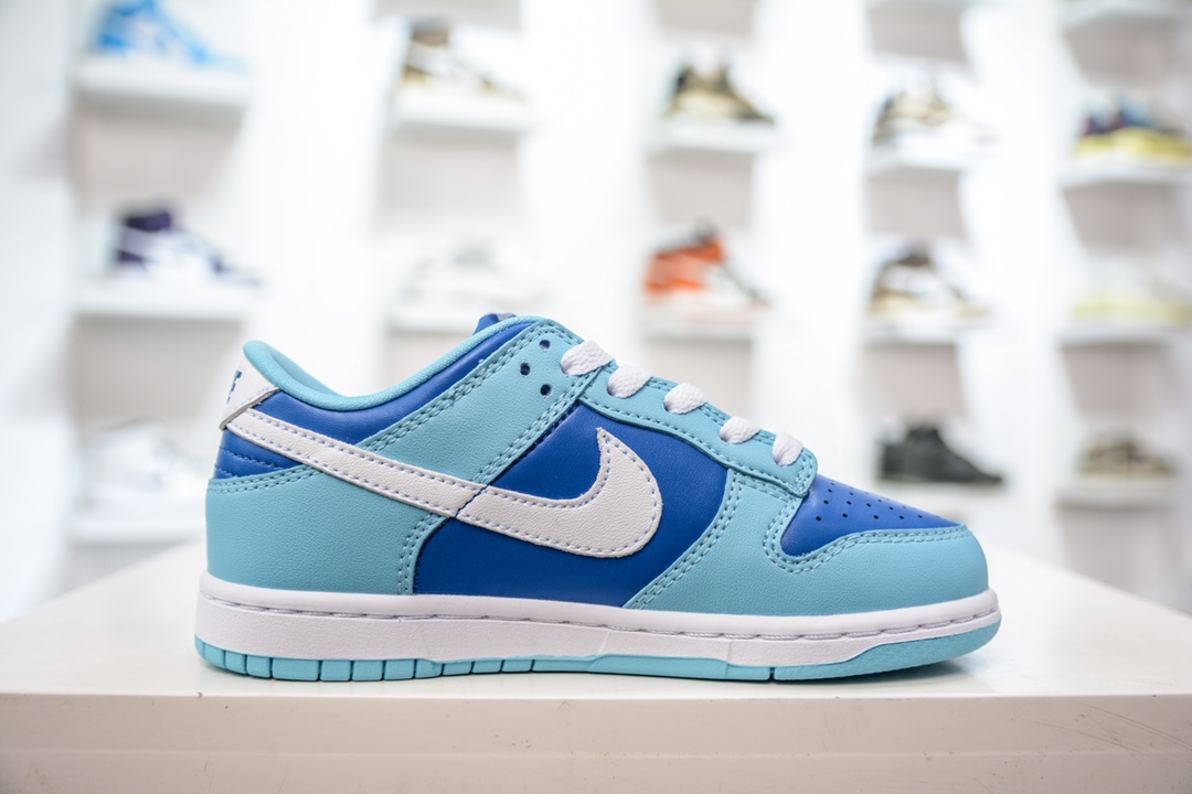 Nike Dunk Low (PLS) children's shoes blue and white low-top casual sports sneakers DV2635-400