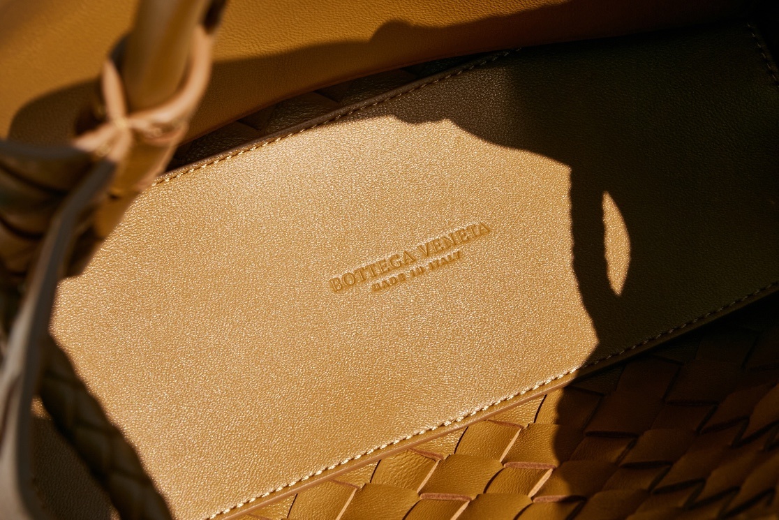 BottegaVeneta2023夏季系列Andiamo手袋大牌明星相继撞款!刘雯杜鹃井柏然米卡郭采洁等