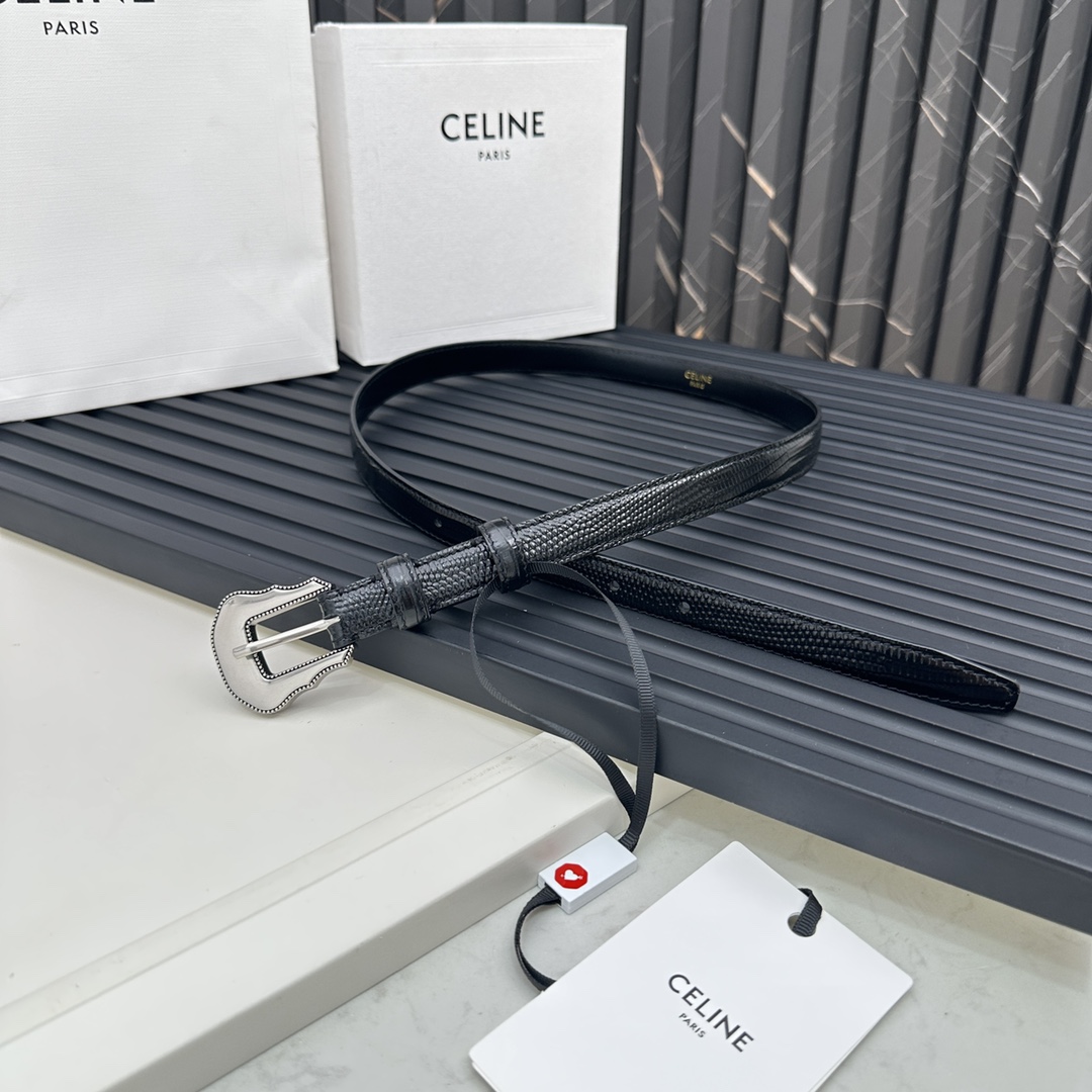 Celine Belts Silver Cowhide