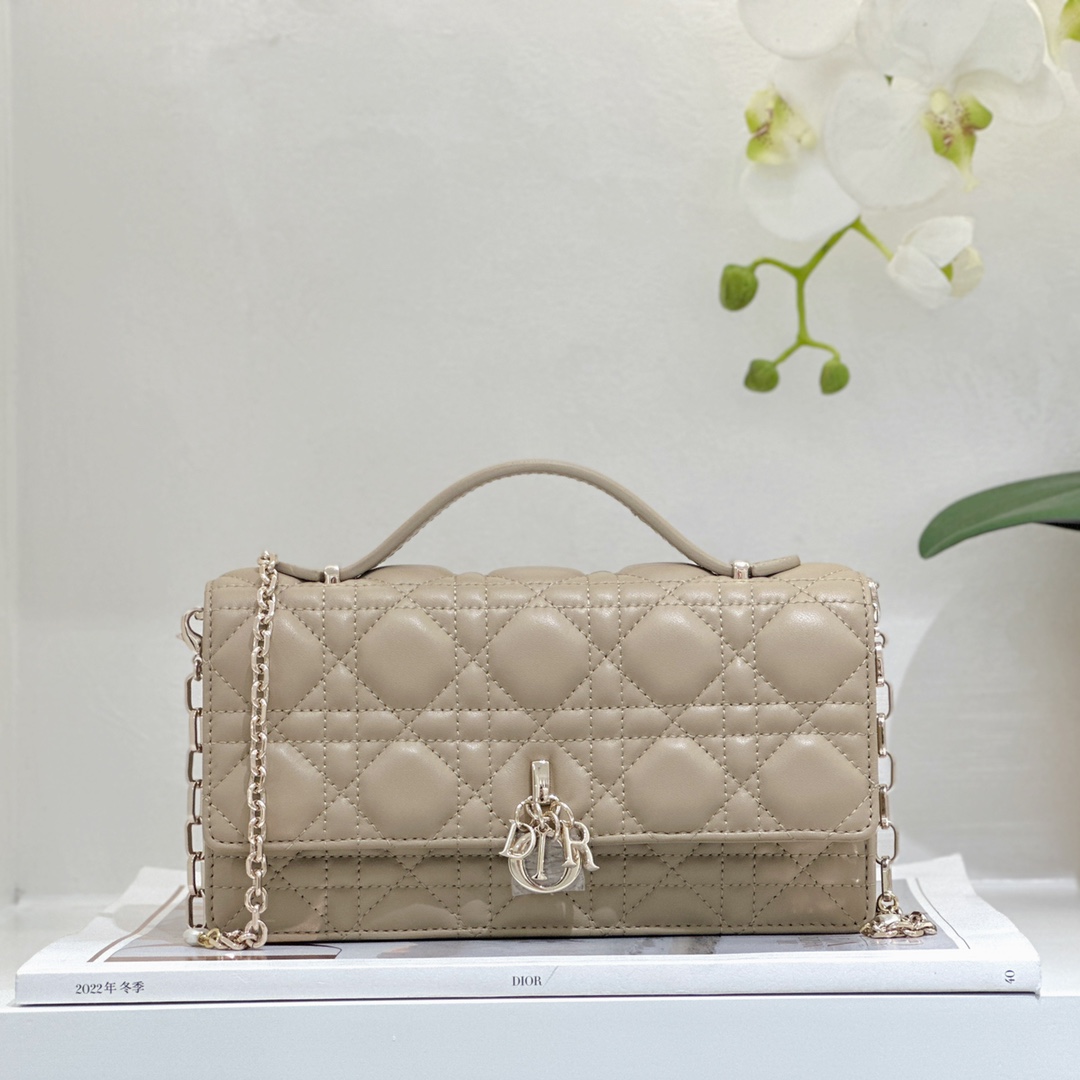 디올 가방 Dior