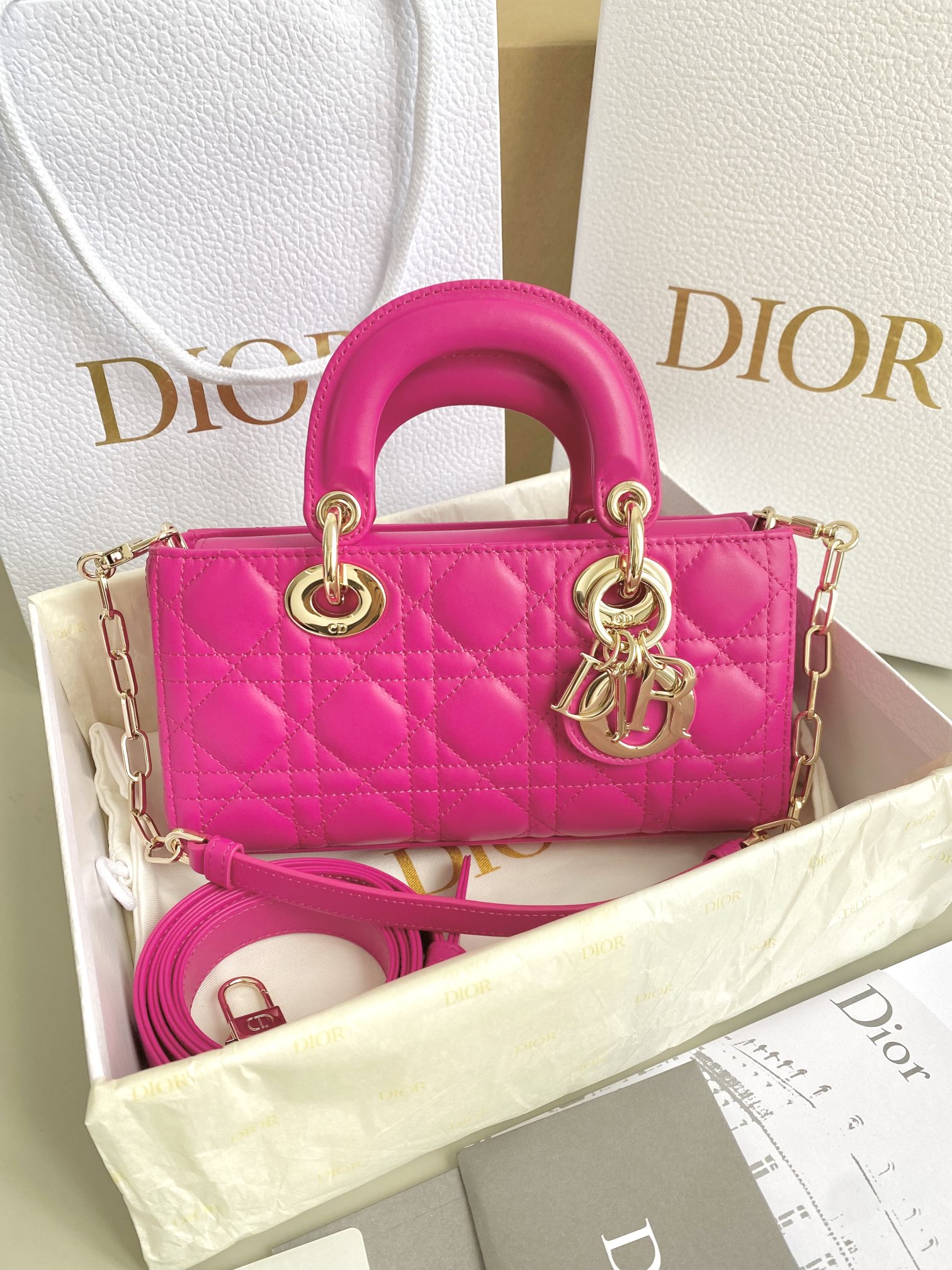 Dior 𝗗-𝗝𝗼𝘆 𝗯𝗮𝗴23新色