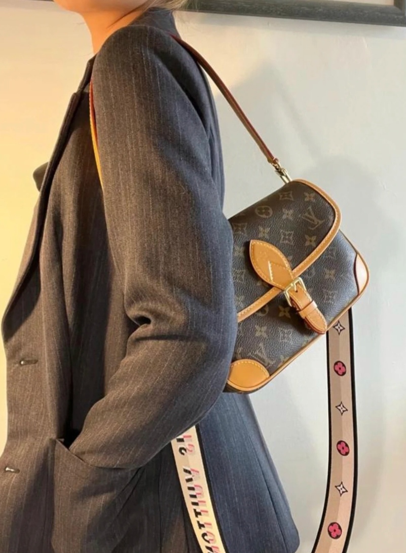 Louis Vuitton everyday
