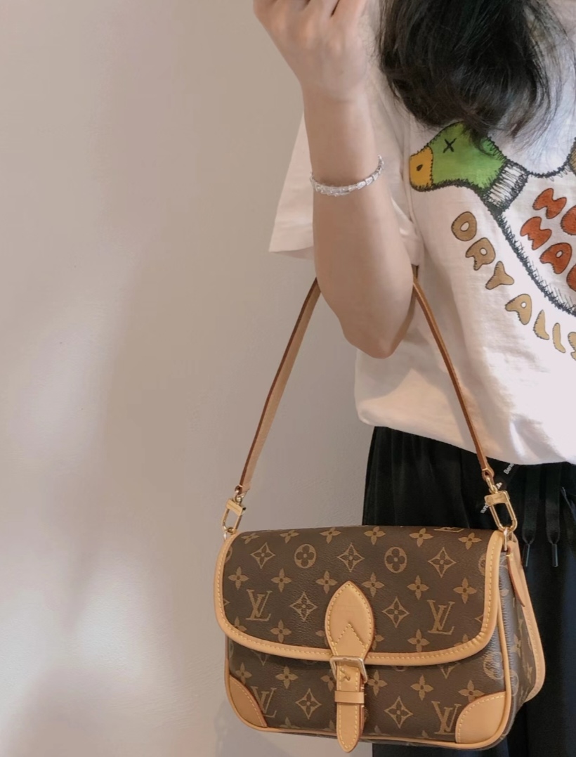 Louis Vuitton everyday