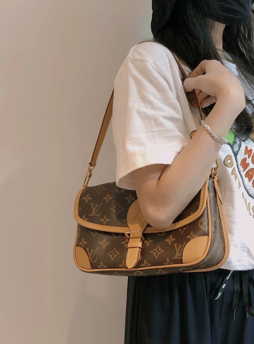 Louis Vuitton everyday