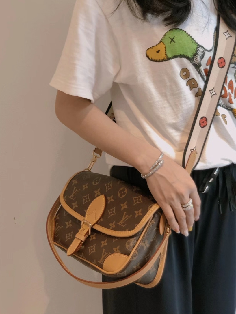 Louis Vuitton everyday