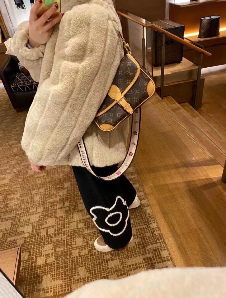 Louis Vuitton everyday