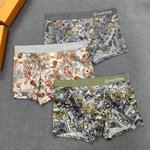 Louis Vuitton Clothing Panties Printing Men Polyester Spandex