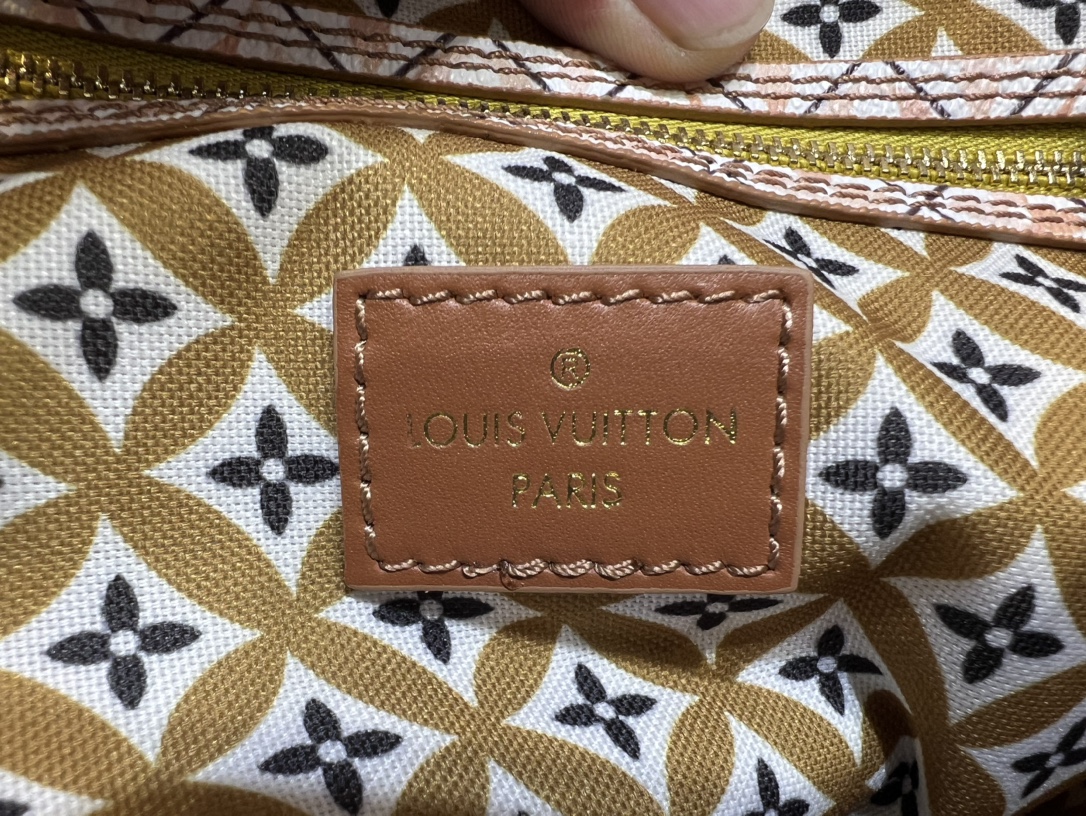 Louis Vuitton Luxury Handbag Collection 9