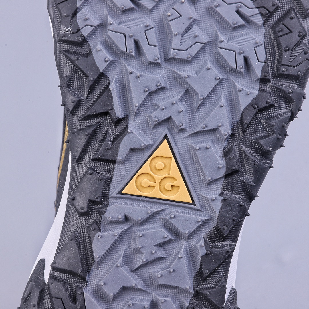 200 Nike ACG Mountain Fly Low GTX SE 登山系列 DV7903-113