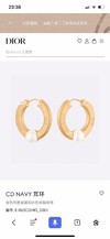 Dior Luxury Jewelry Earring