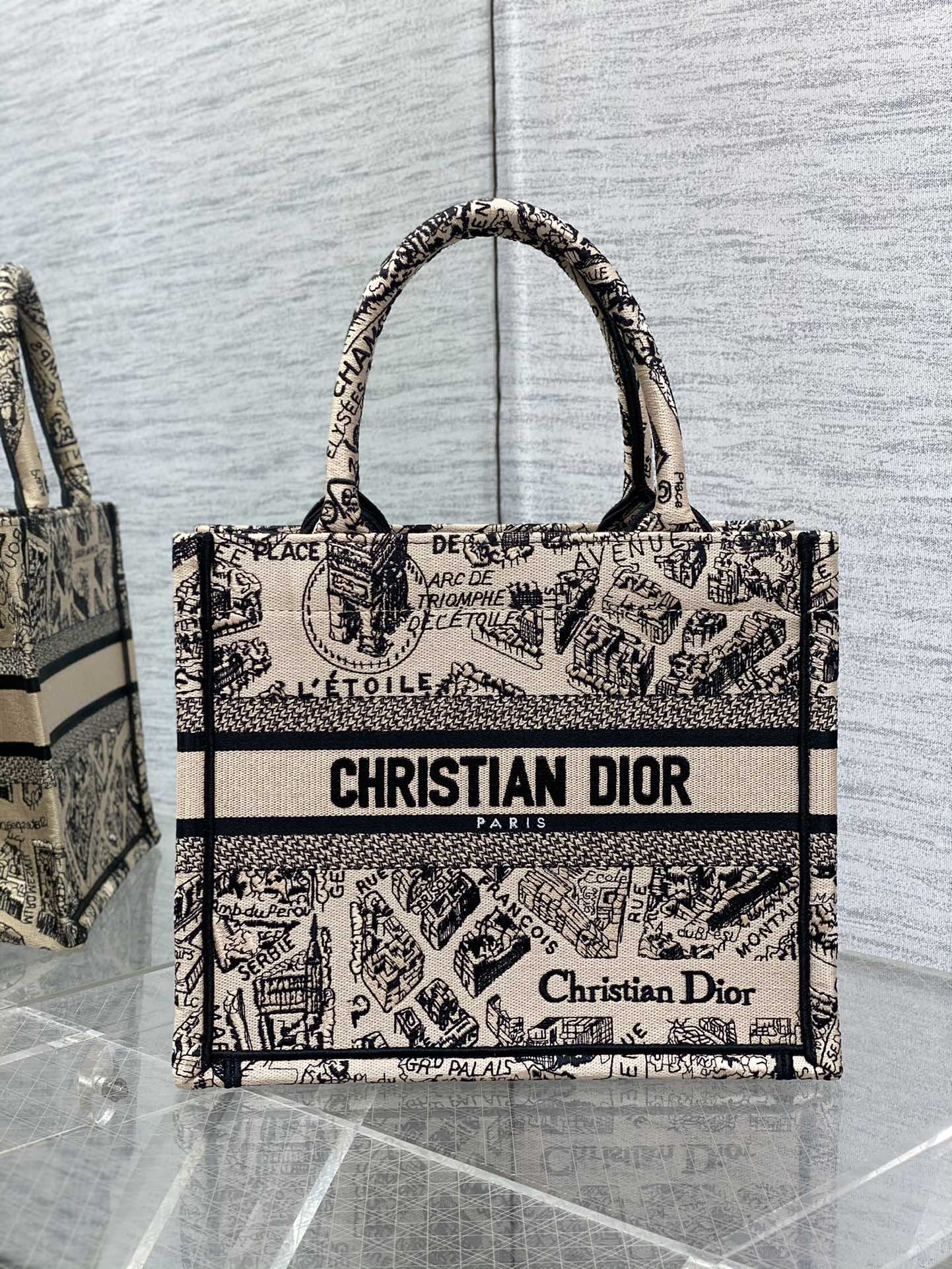 Dior Book Tote Small Embroidered Handbag