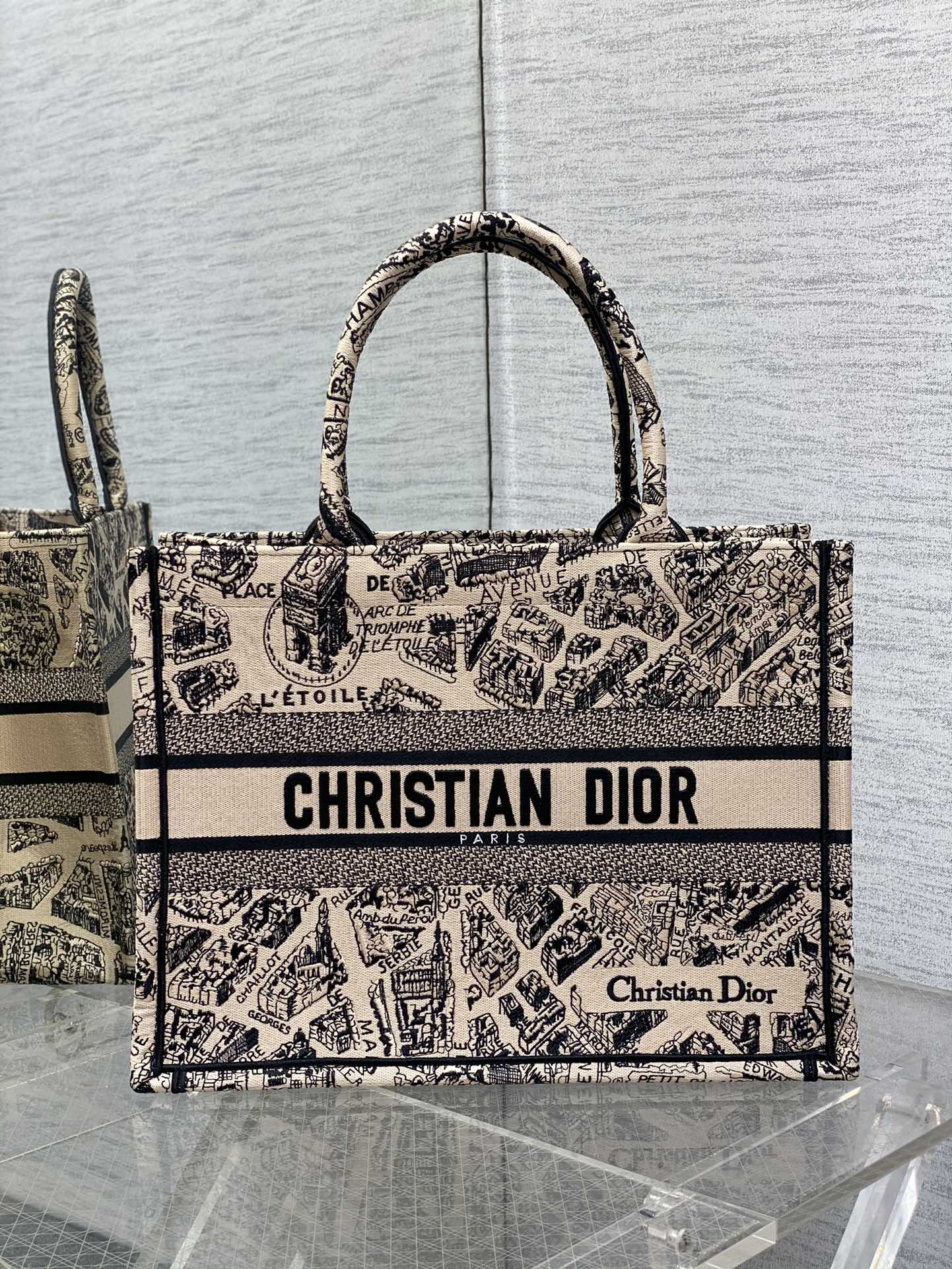 Dior Medium Tote Paris Map Embroidery Tote Bag