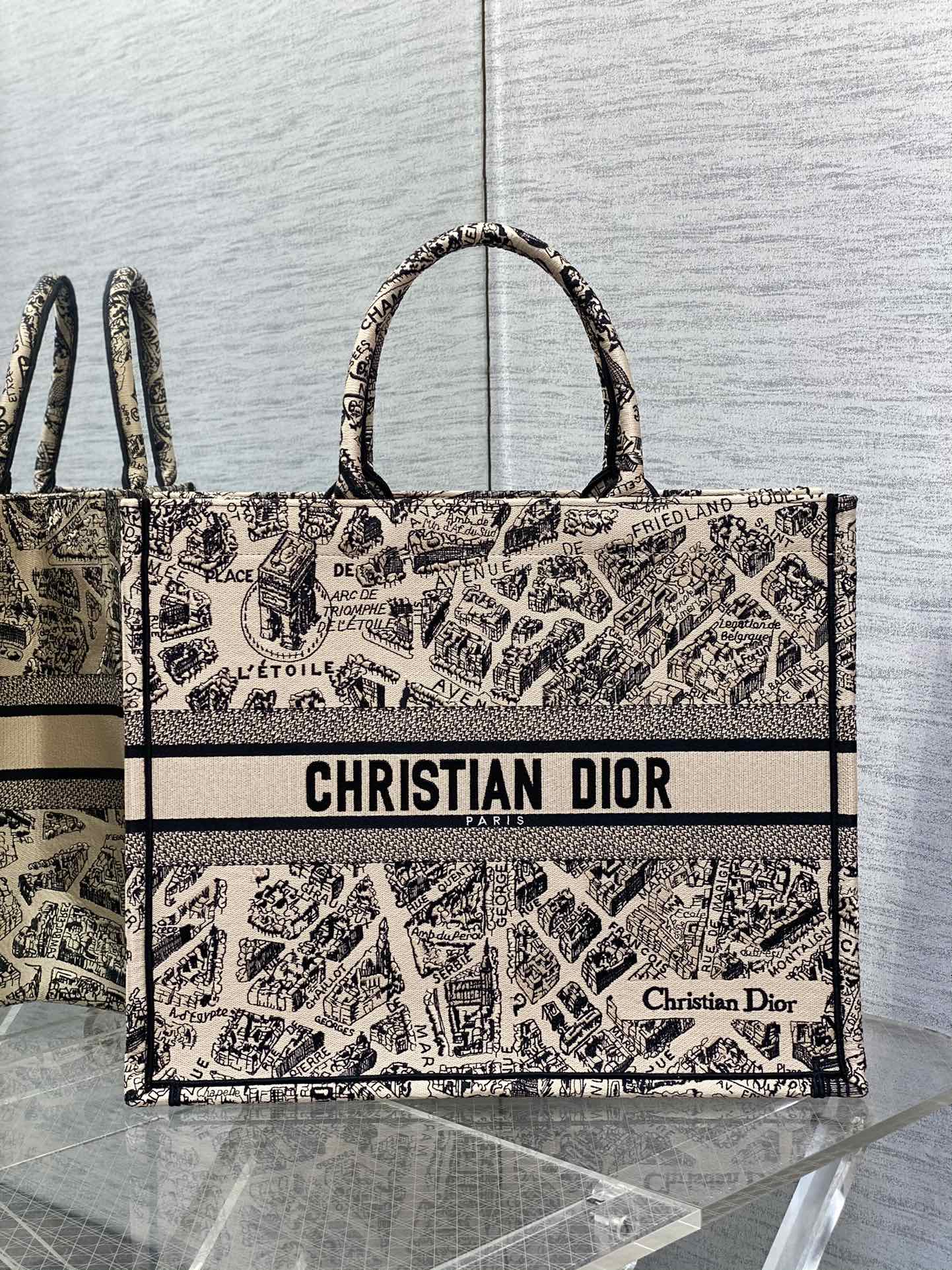 Dior Large Tote Paris Map Embroidery Handbag