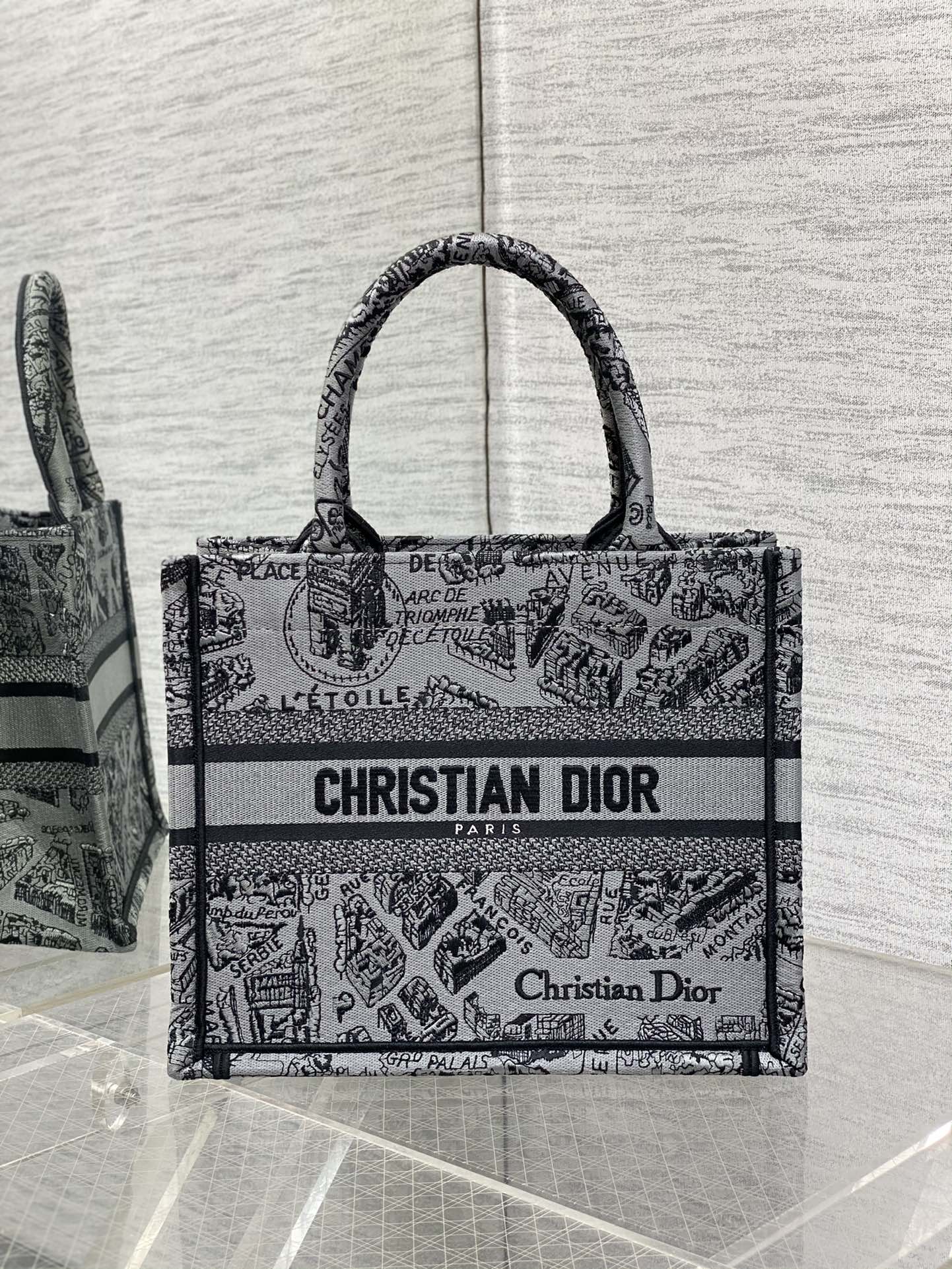 Dior Book Tote Small Embroidered Handbag