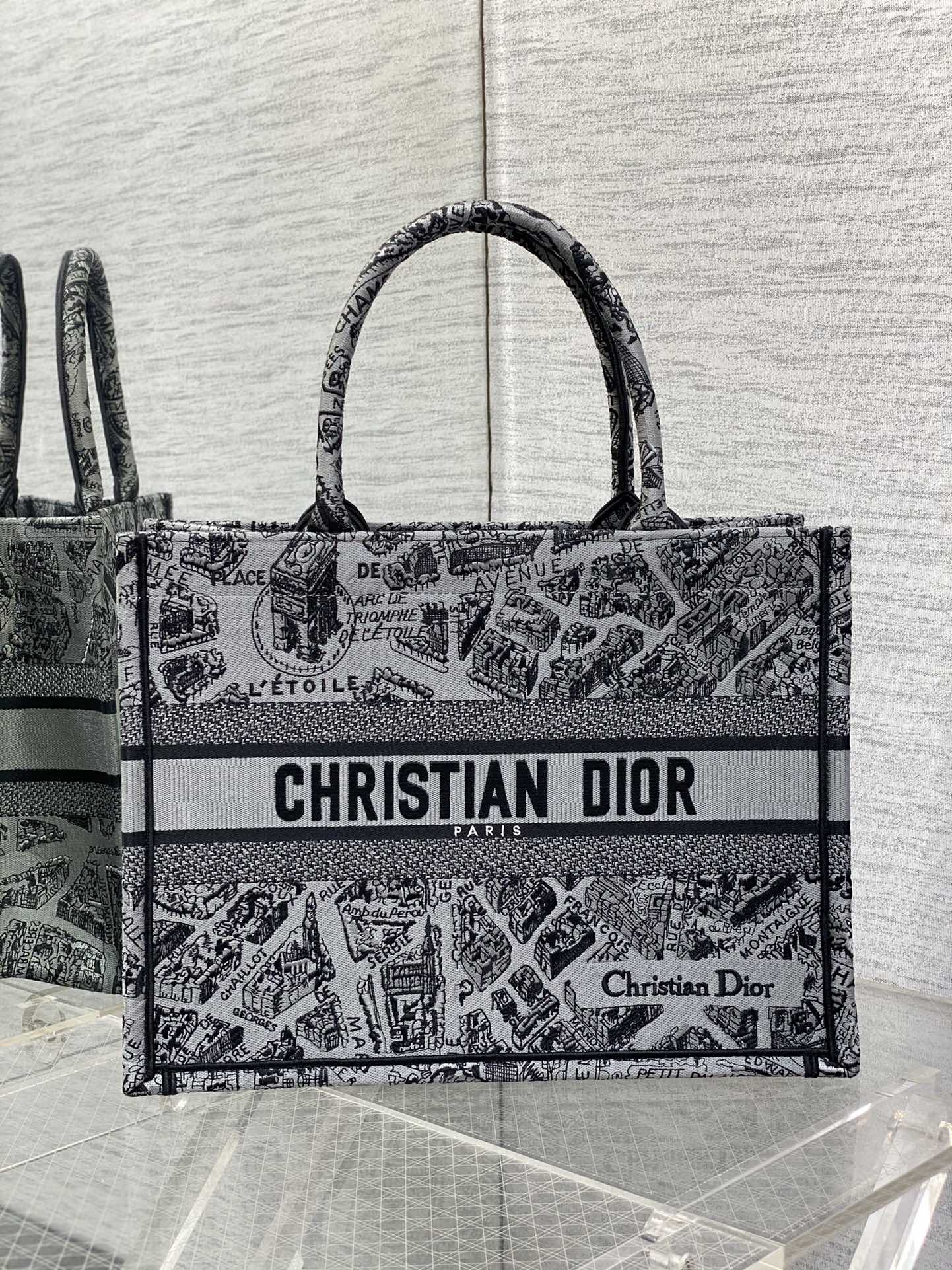 Dior Book Tote Medium Paris Map Embroidery Tote Bag