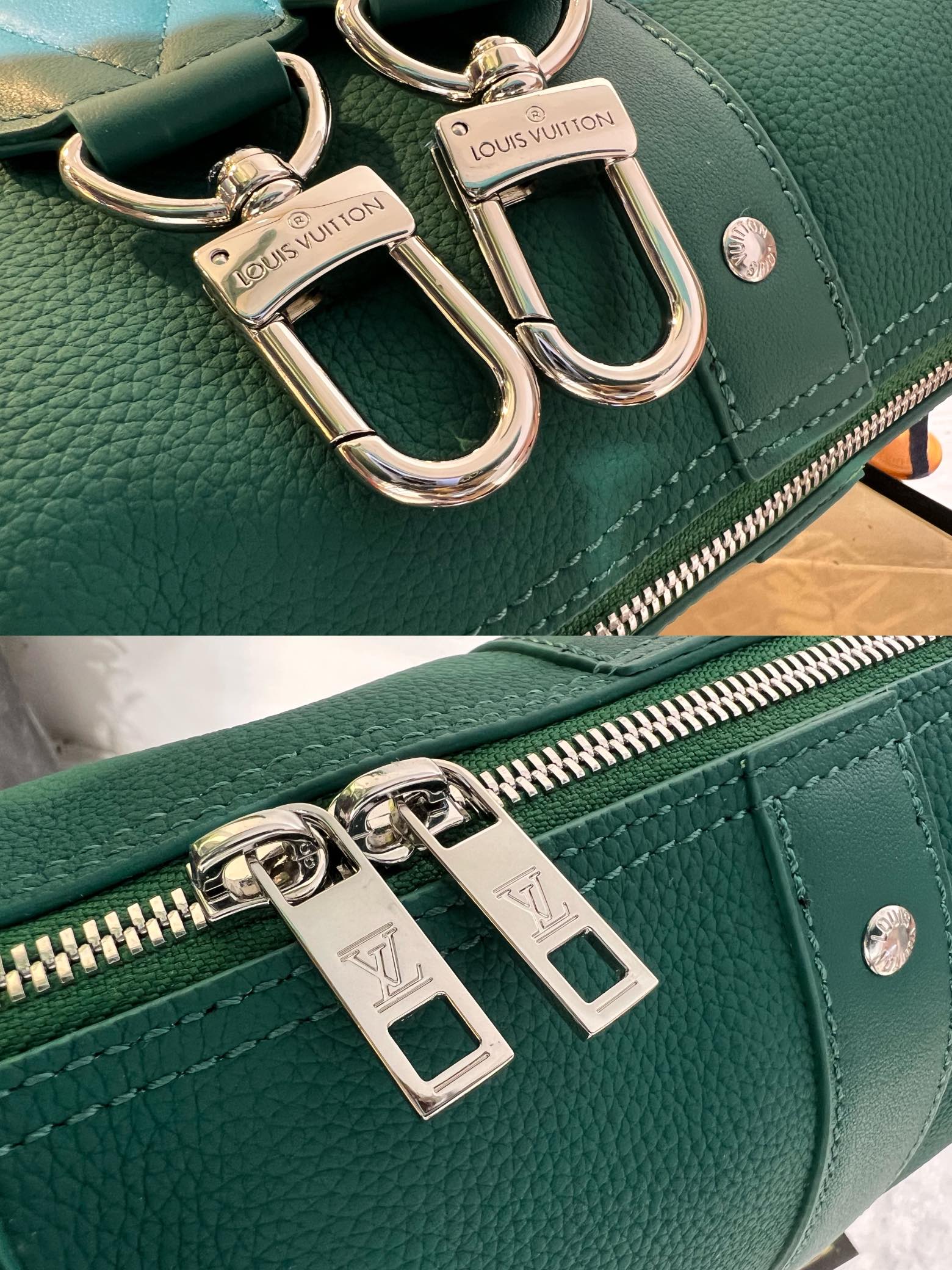 Louis Vuitton Luxury Handbag Collection 6