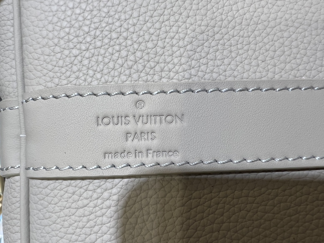 Louis Vuitton Luxury Handbag Collection 9