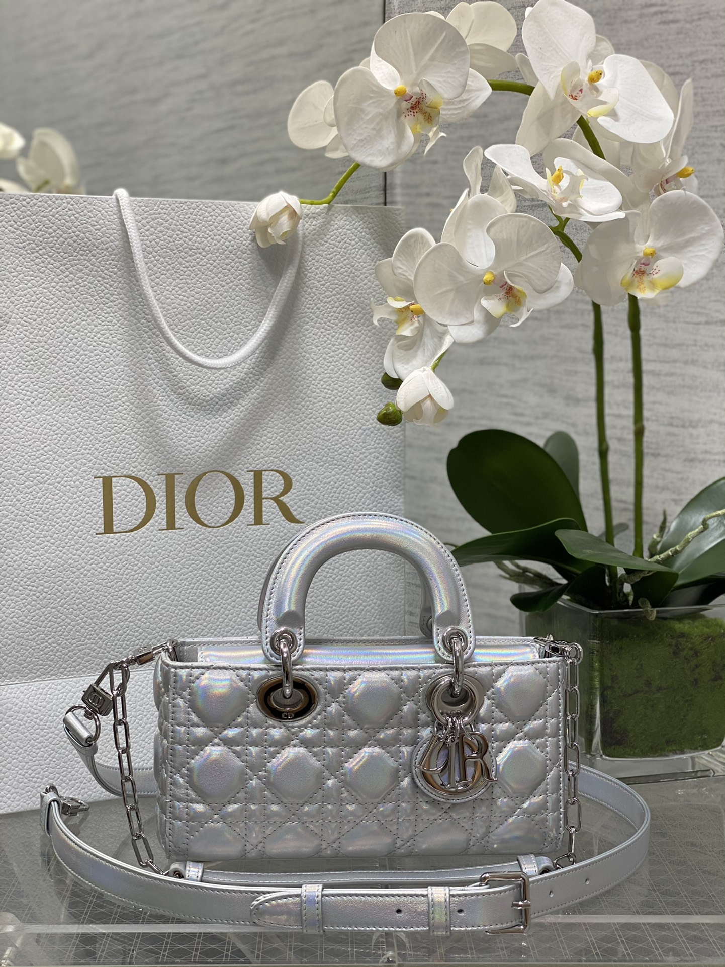 𝐃-𝐉𝐨𝐲 plata láser, última talla pequeña
