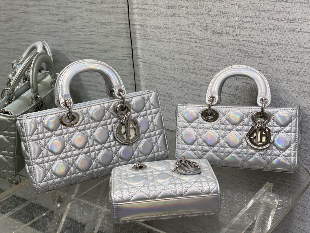 Dior 16.5cm VS 22cm VS 26cm
