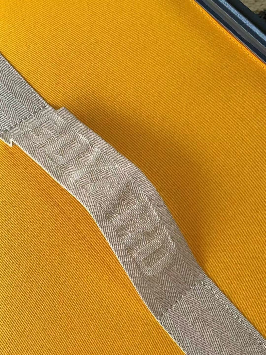 valigia Goyard — photo 9