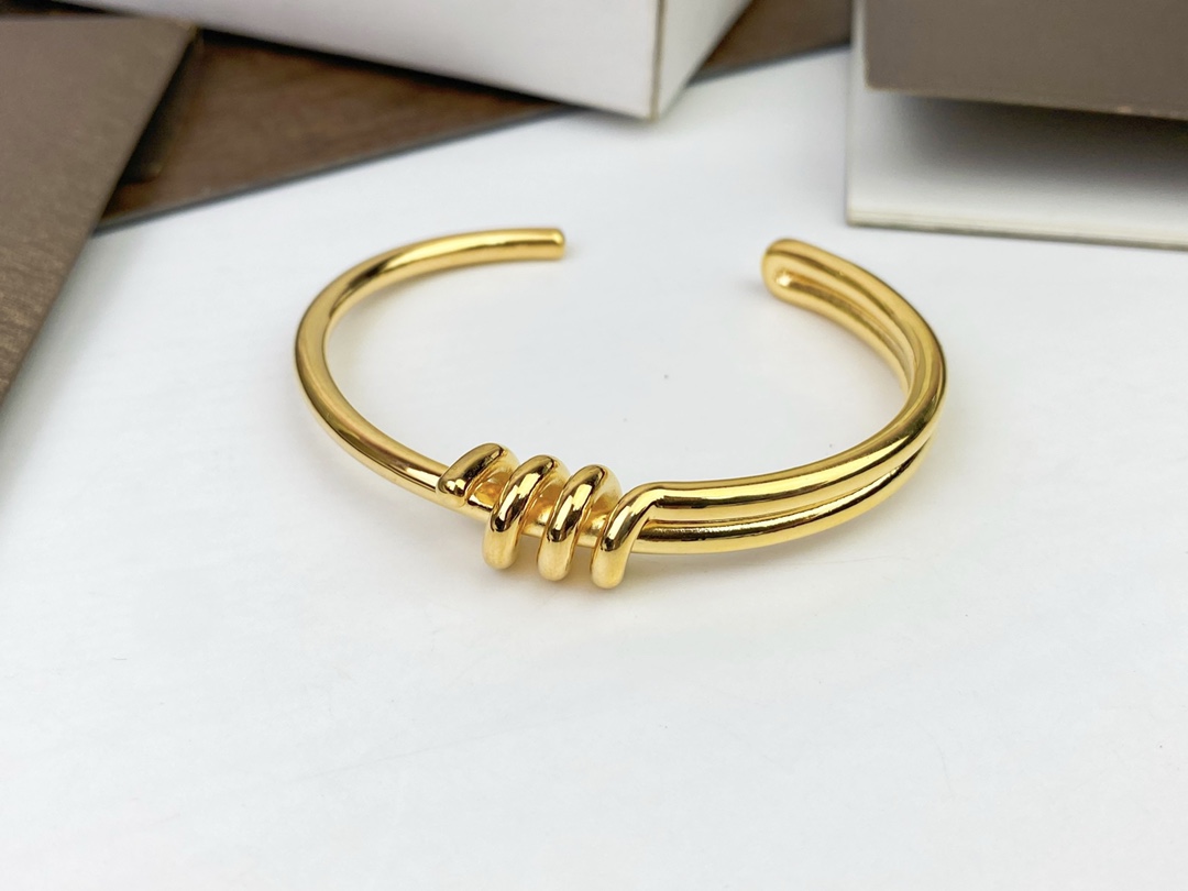 Celine’s New Bracelet: Elegant Platinum and Gold Hand-to-Hand Design - 图片 5