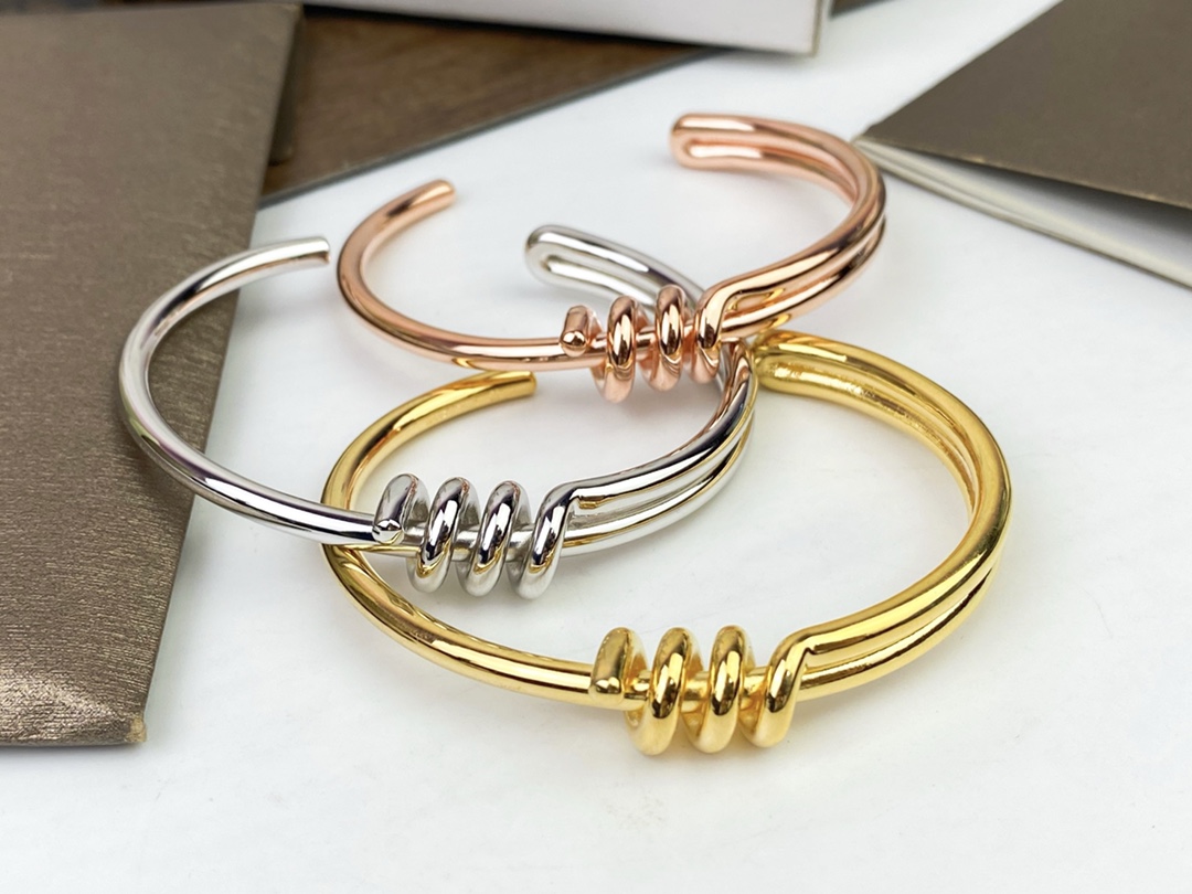 Celine’s New Bracelet: Elegant Platinum and Gold Hand-to-Hand Design - 图片 9