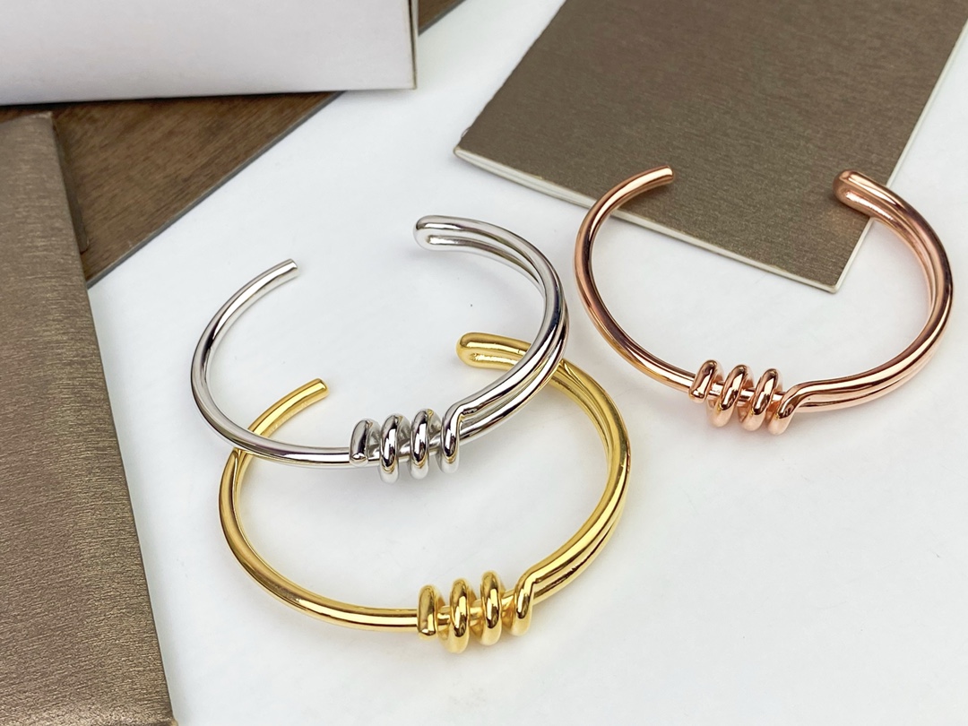 Celine’s New Bracelet: Elegant Platinum and Gold Hand-to-Hand Design - 图片 2