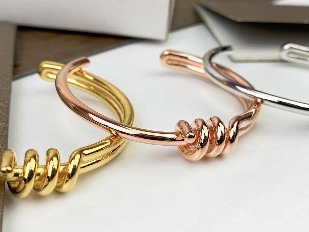 Celine’s New Bracelet: Elegant Platinum and Gold Hand-to-Hand Design - 图片 6