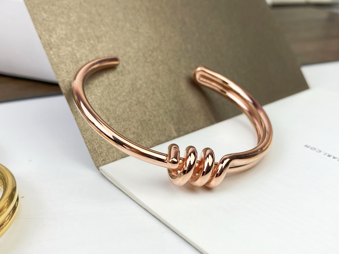 Celine’s New Bracelet: Elegant Platinum and Gold Hand-to-Hand Design - 图片 4