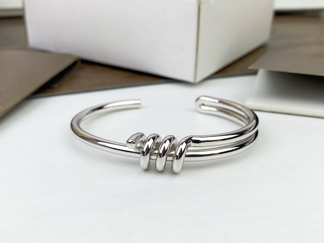 Celine’s New Bracelet: Elegant Platinum and Gold Hand-to-Hand Design - 图片 7