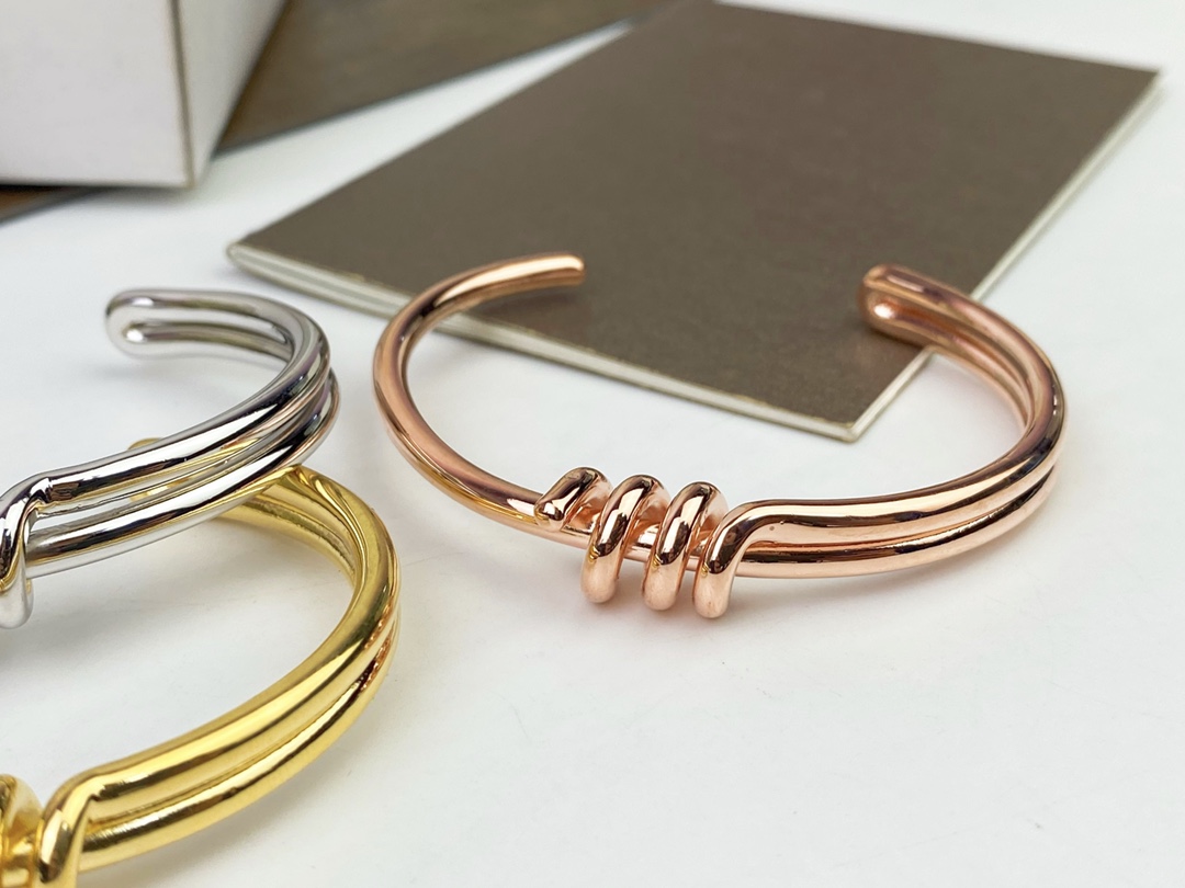 Celine’s New Bracelet: Elegant Platinum and Gold Hand-to-Hand Design - 图片 8