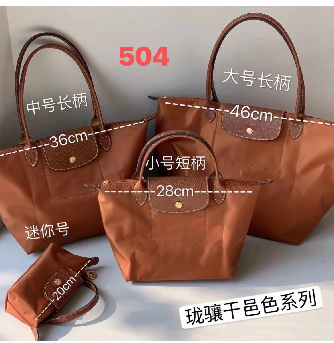 Longchamp ～龙骧 系列
