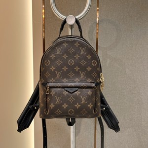 We Curate The Best
 Louis Vuitton LV Palm Springs Bags Backpack Unisex Fashion