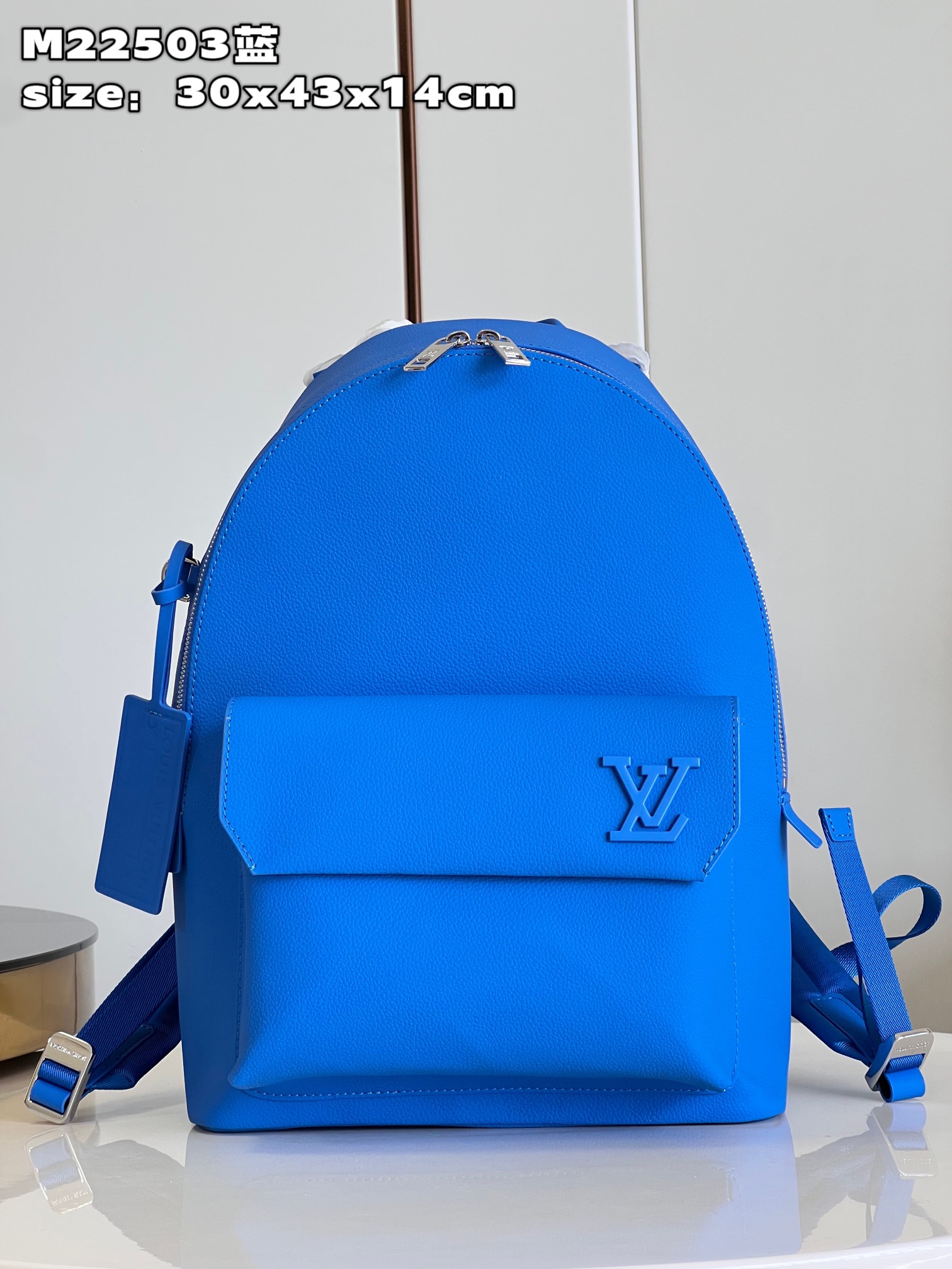 Louis Vuitton Bags Backpack Blue Cowhide M22503