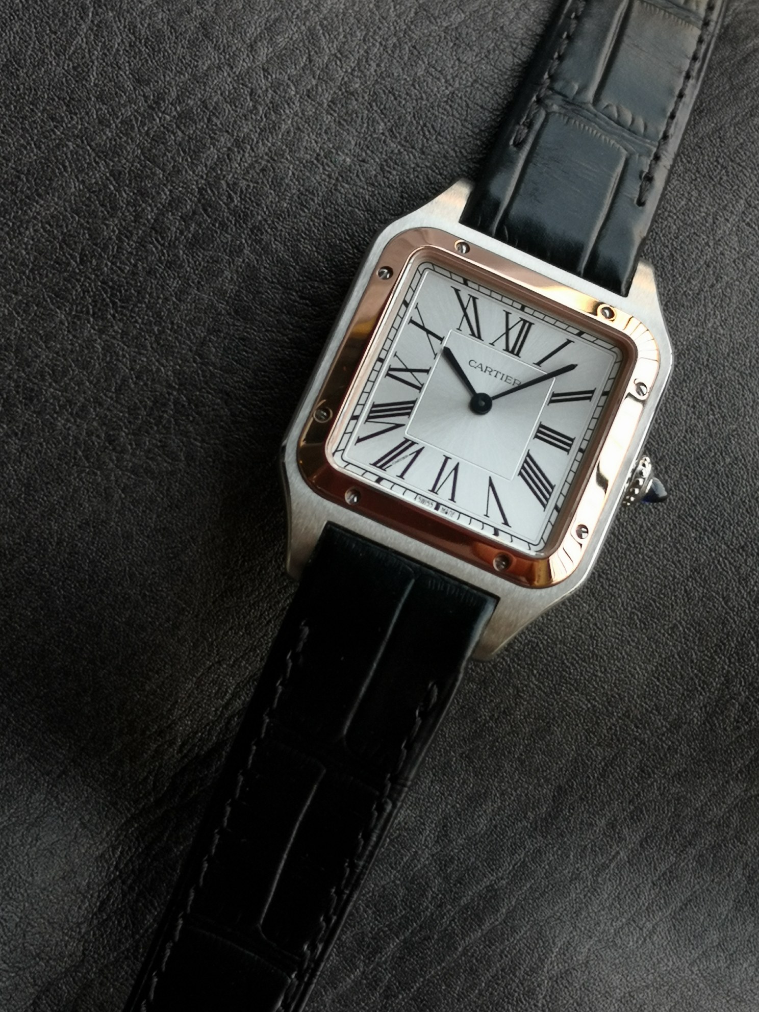 Cartier 相较于圆形腕表 方形腕表因其棱角分明的设计显得格外独特 而提到方表中的 之作 卡地亚的山度士自然榜上有名