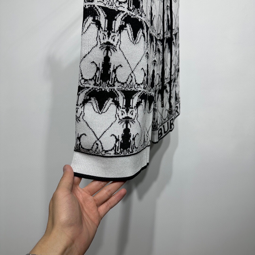Louis Vuitton Haute Couture Haute Couture Ready-to-Wear Clothing Dress 5