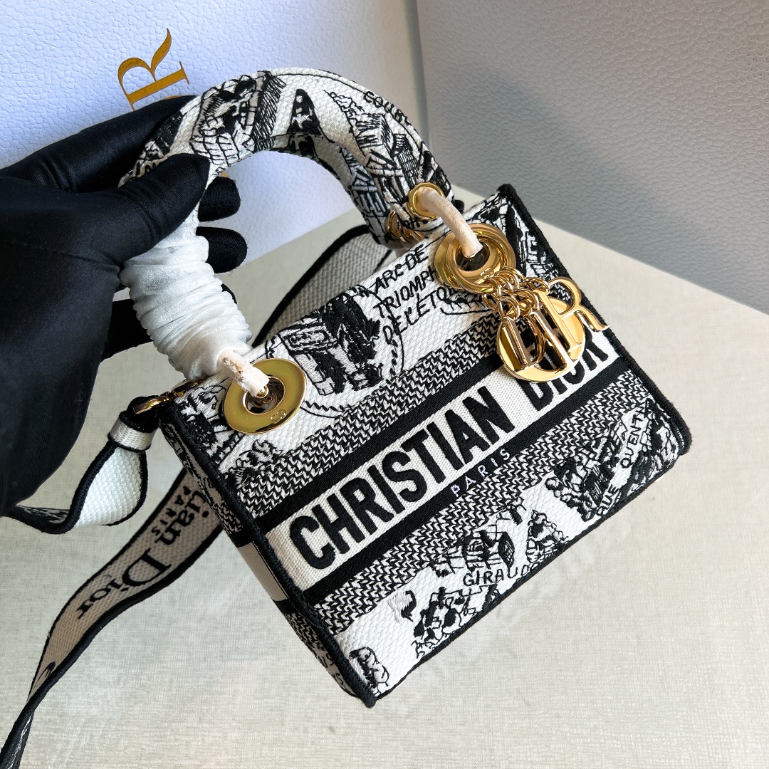Сумка Dior с принтом Париж