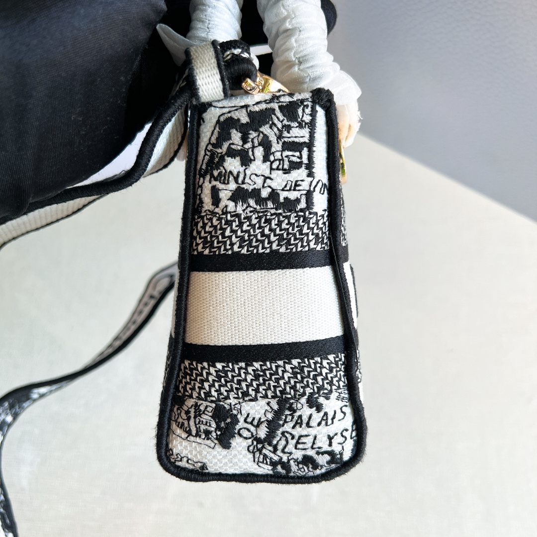 Сумка Dior с принтом Париж