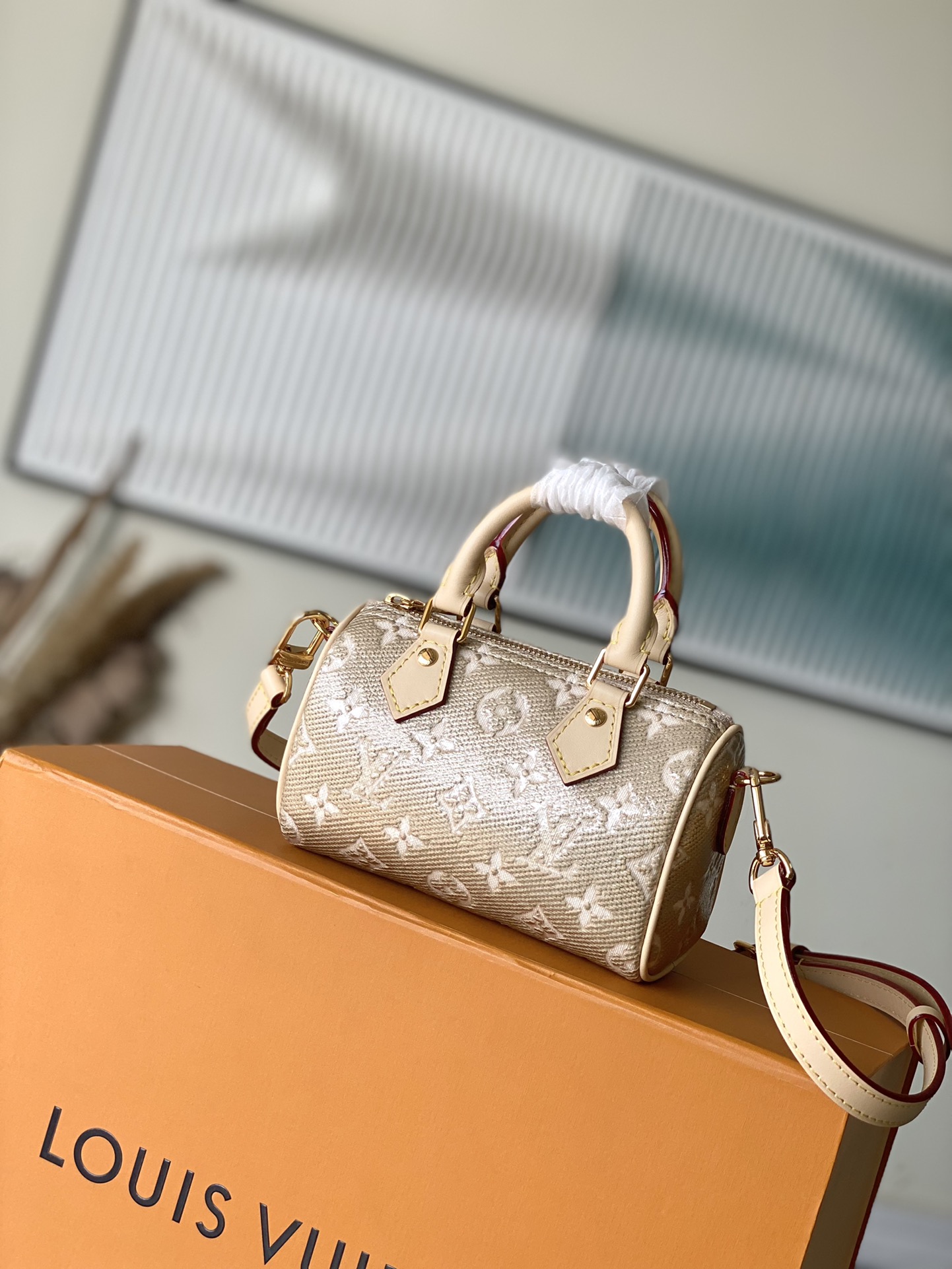 Louis Vuitton LV Speedy Bags Handbags Fashion Designer
 Gold Canvas M82242