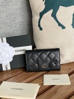 Chanel Classic Flap Bag Wallet Card pack Silver