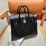 Hermes Birkin Bags Handbags Black Platinum Silver Hardware Crocodile Leather