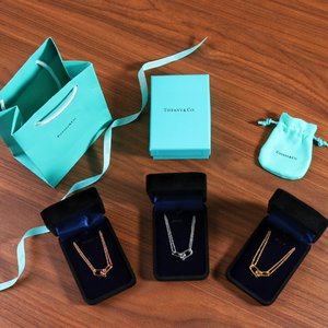 Tiffany&Co. Jewelry Earring Necklaces & Pendants